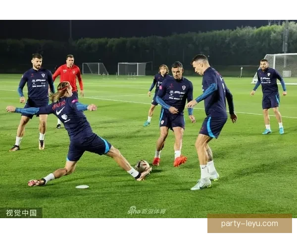 国家队备战世界杯冲刺阶段 球员训练状态引发球迷热议